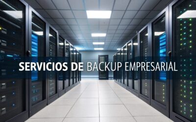 Servicios de backup empresarial